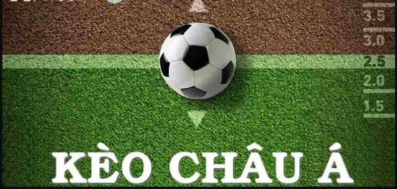 ca-do-nen-chon-keo-gi-de-thang-bi-quyet-chon-keo-hieu-qua-cho-nguoi-moi